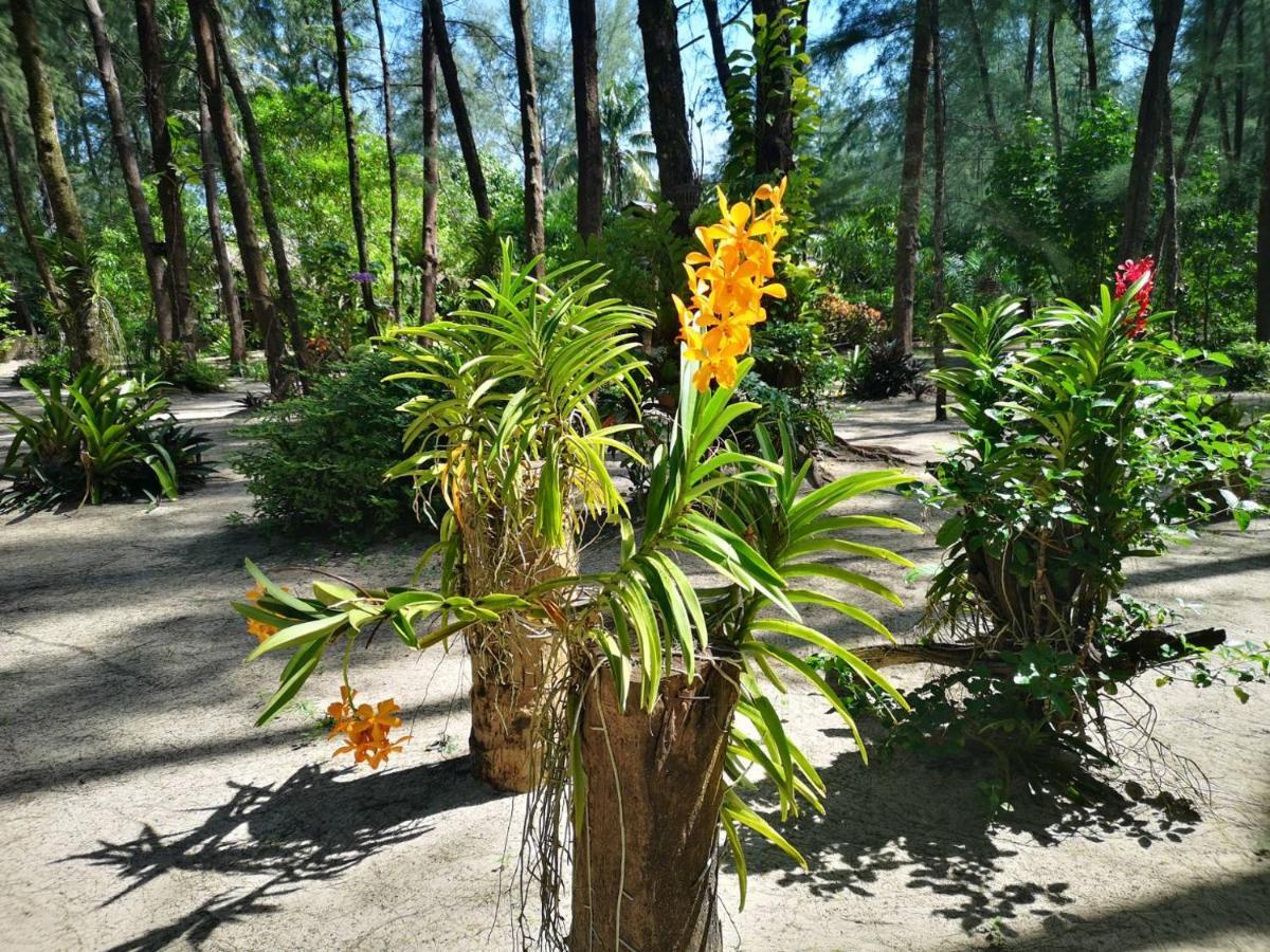 Hapla Beach Cottage Koh Kho Khao Island Exterior photo